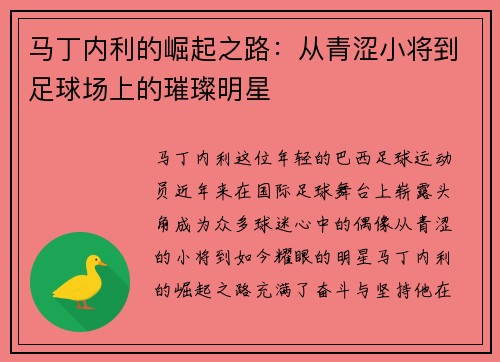 马丁内利的崛起之路：从青涩小将到足球场上的璀璨明星